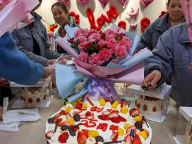 MK体育（中国）官方网站举办三八妇女节活动