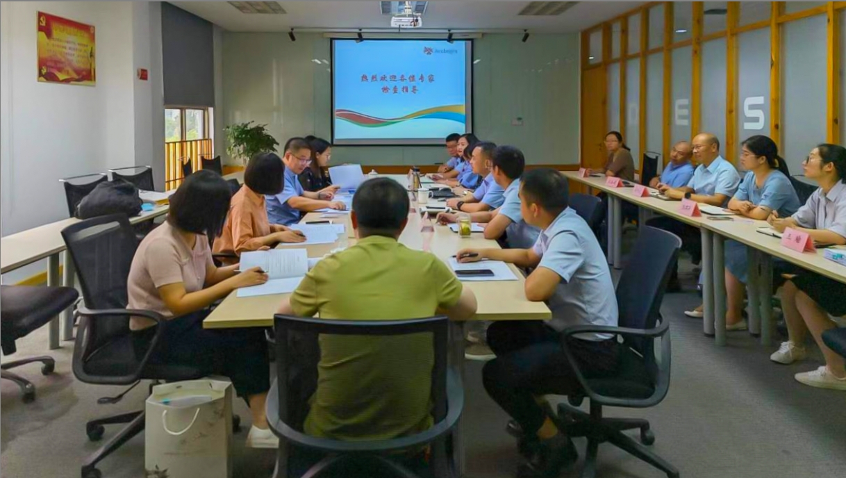 MK体育(中国)官方网站顺利通过舒更注册现场核查与小针GMP符合性二合一检查